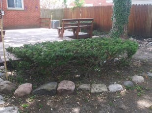 Bush Trimming by Valerie Glenn for Julie S. in Livonia, MI