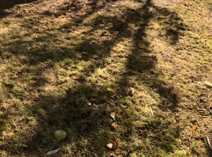 Cleanups by Mitch Melum for Heather P. in Madison, WI