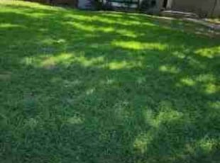 Michael P.'s Lawn Service service result