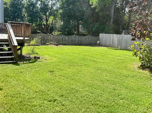 Kelvin A.'s Lawn Maintenance service result