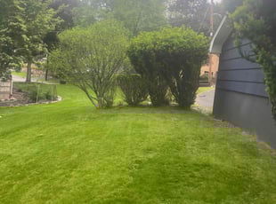 Bush Trimming by Jamal David for Susan S. in Haworth, NJ