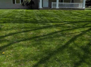 Theresa G.'s Lawn Mowing service result