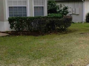 Bush Trimming by Willie Carmichael for Brian l. in Apopka, FL