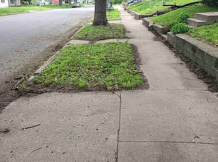 Andrea M.'s Lawn Maintenance service result