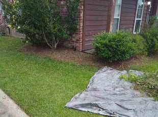 Weeding by Adam Craft for Jamie M. in Denham Springs, LA