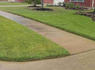 Monnie C.'s Lawn Mowing service result