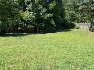 David W.'s Lawn Maintenance service result