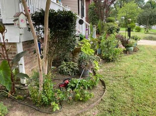 Bush Trimming by Labrian Lars for Deena J. in Shreveport, LA