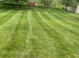 Melissa J.'s Lawn Care service result