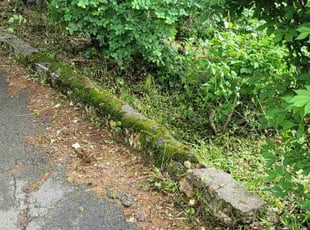 Weeding by Mike Hughey for Taylor A. in Chattanooga, TN