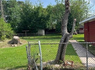Bush Trimming by Dezrick Swan for Leah S. in Hitchcock, TX
