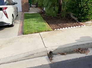 Weeding by James McClelland for Michael R. in Mission Viejo, CA