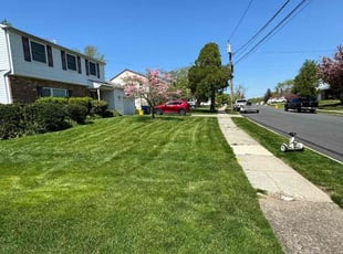Cynthiya R.'s Lawn Mowing Service service result