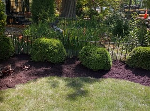 Mulching by Krishnu Persaud for Ivan W. in Washington, DC