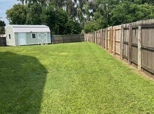 Aida A.'s Lawn Care service result