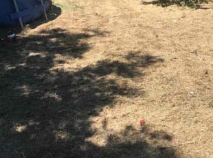 Cleanups by Juan Martinez for Andrea M. in Stockton, CA