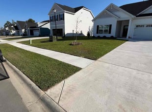 Diane P.'s Lawn Mowing service result