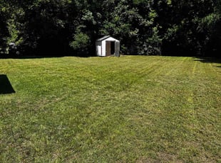 Sandra M.'s Lawn Maintenance service result