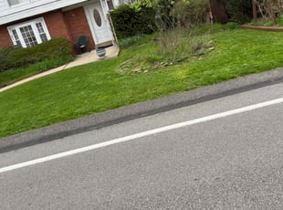 Sharyl T.'s Lawn Care service result
