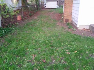 Leaf Removal by Donald Archer for Richard R. in Gary, IN