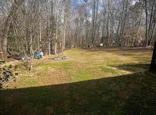 Leaf Removal by Dominque Medlin for Scooter F. in Raleigh, NC