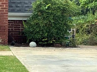 Weeding by Luther Thompson for Ray B. in Oklahoma City, OK