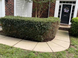 Bush Trimming by Fenton Gabriel for Janet A. in Huntersville, NC