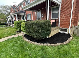 Cleanups by Samuel Jordon for Kenya R. in Baltimore, MD