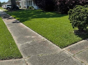 Debbie P.'s Lawn Service service result