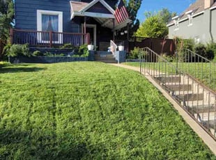 Melissa H.'s Lawn Service service result