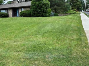 Bri G.'s Lawn Mowing service result