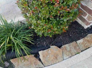 Weeding by Alexis Perez for Rebecca P. in Cypress, TX