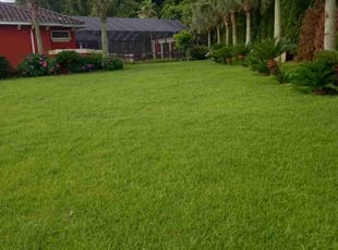 Barnett L.'s Grass Cutting service result