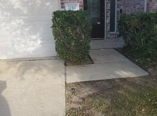 Bush Trimming by Gladis Carcamo for Shylisa H. in Katy, TX