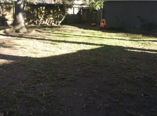 Leaf Removal by Kimberly Gonzales-Franco for Kurtis K. in Humble, TX