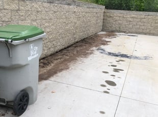 Leaf Removal by Domingo Cansino for Va'Na B. in Milwaukee, WI