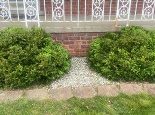 Bush Trimming by Ricardo Binyard Jr for Isaac R. in Eastpointe, MI