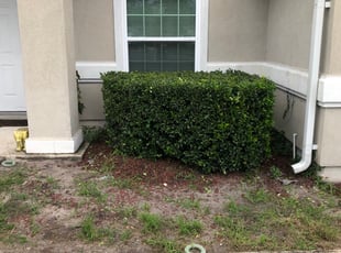 Cleanups by Wayne Atkinson for Melissa T. in Jacksonville, FL