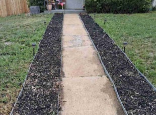Weeding by Joel Avila for Carissa J. in Denver, CO