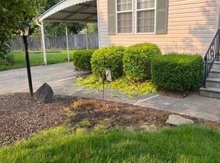 Bush Trimming by Dominic Curiale for Shawn L. in Olmsted Township, OH