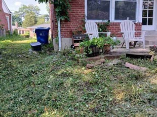 Weeding by Affer Thomas for Malka B. in St. Louis, MO