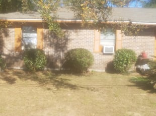 Bush Trimming by James Curry for Yolanda G. in Tallahassee, FL