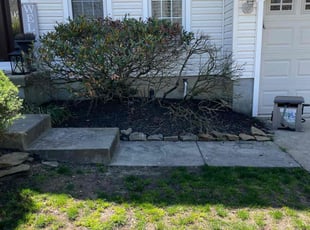 Leaf Removal by Nicholas DiEnno for C.Copeland C. in Monroe, NJ
