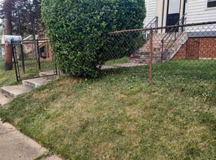 Bush Trimming by Amber Fuentes for Rose W. in Capitol Heights, MD