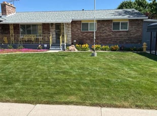 Felicia B.'s Grass Cutting service result