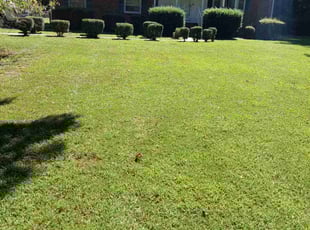 Maggie B.'s Lawn Care service result