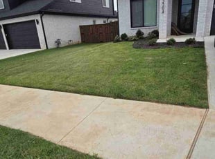 Shanti S.'s Lawn Care service result