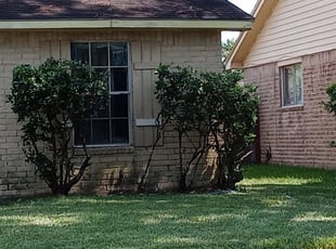 Bush Trimming by Walter Rodriguez for Kyla C. in Houston, TX