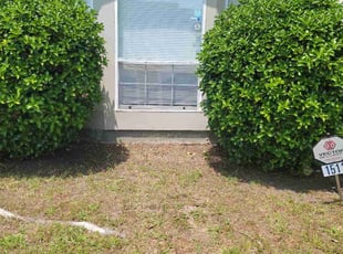 Leaf Removal by Kevin Lewis for Allan J. in Virginia Beach, VA