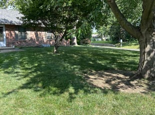 eric b.'s Lawn Care service result